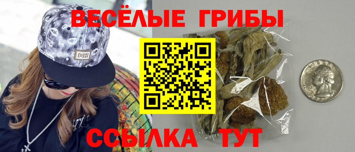 Галлюциногенные грибы прущие грибы  Галлюциногенные грибы мицелий  Вход с VPN  Гулькевичи 